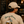 A man sitting at a bar, viewed from behind, wearing a beige t-shirt with a large beer-themed graphic on the back that reads 'Hops and Dreams' and 'Life Well Lived'.