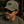 A man wearing a distressed olive green baseball cap with a 'Rancheria Ranchero' patch on the front, styled with dark sunglasses and an olive green t-shirt in a rustic, vintage-themed setting.
